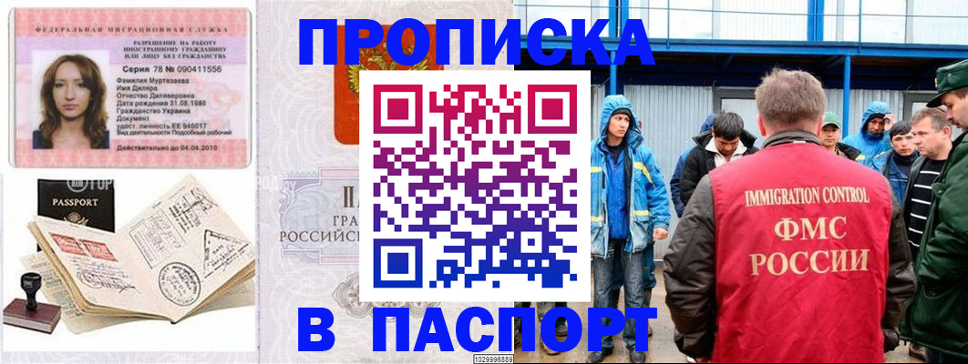 временная регистрация недорого в Палласовке